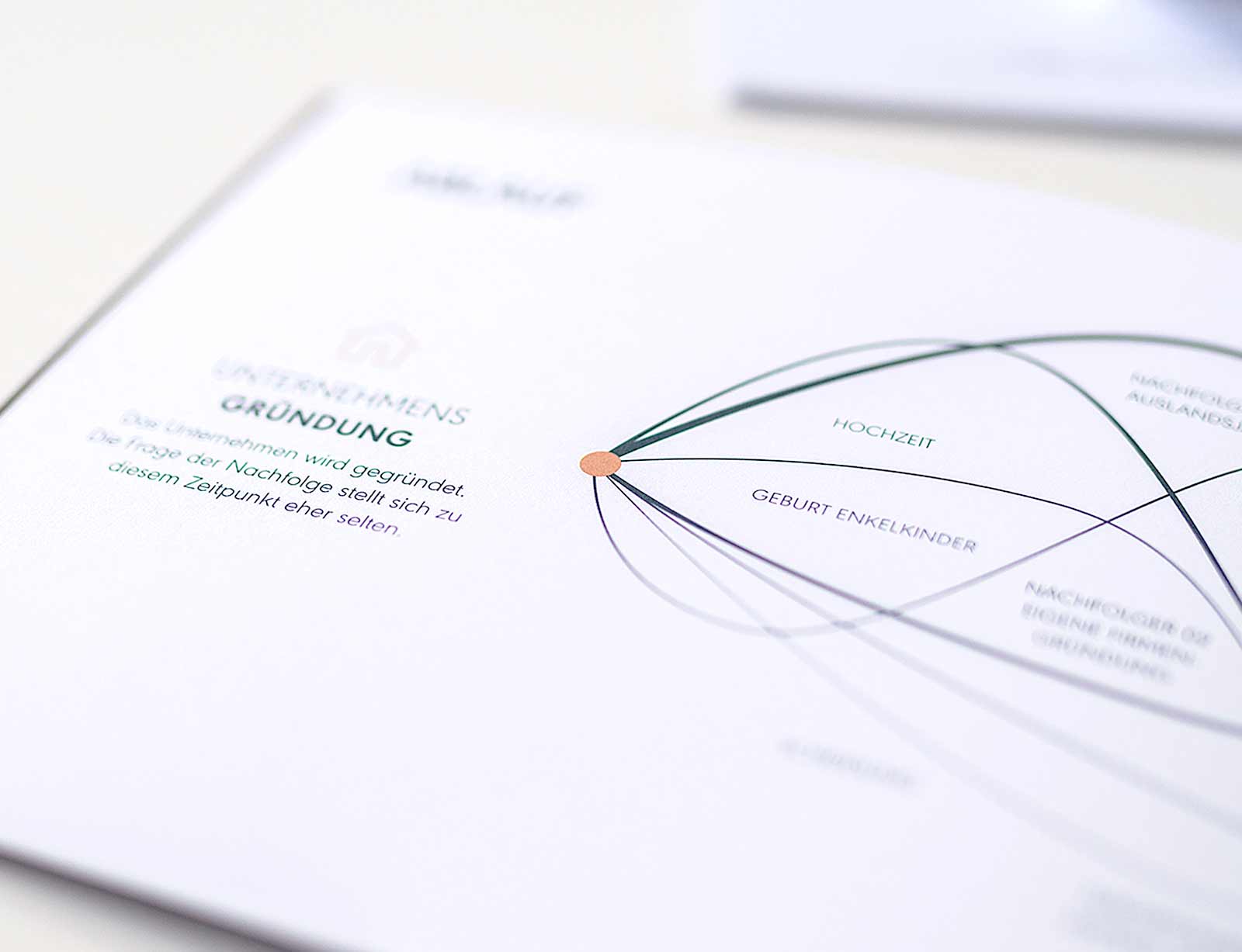 dg bettinadaser branding brosch deatil b