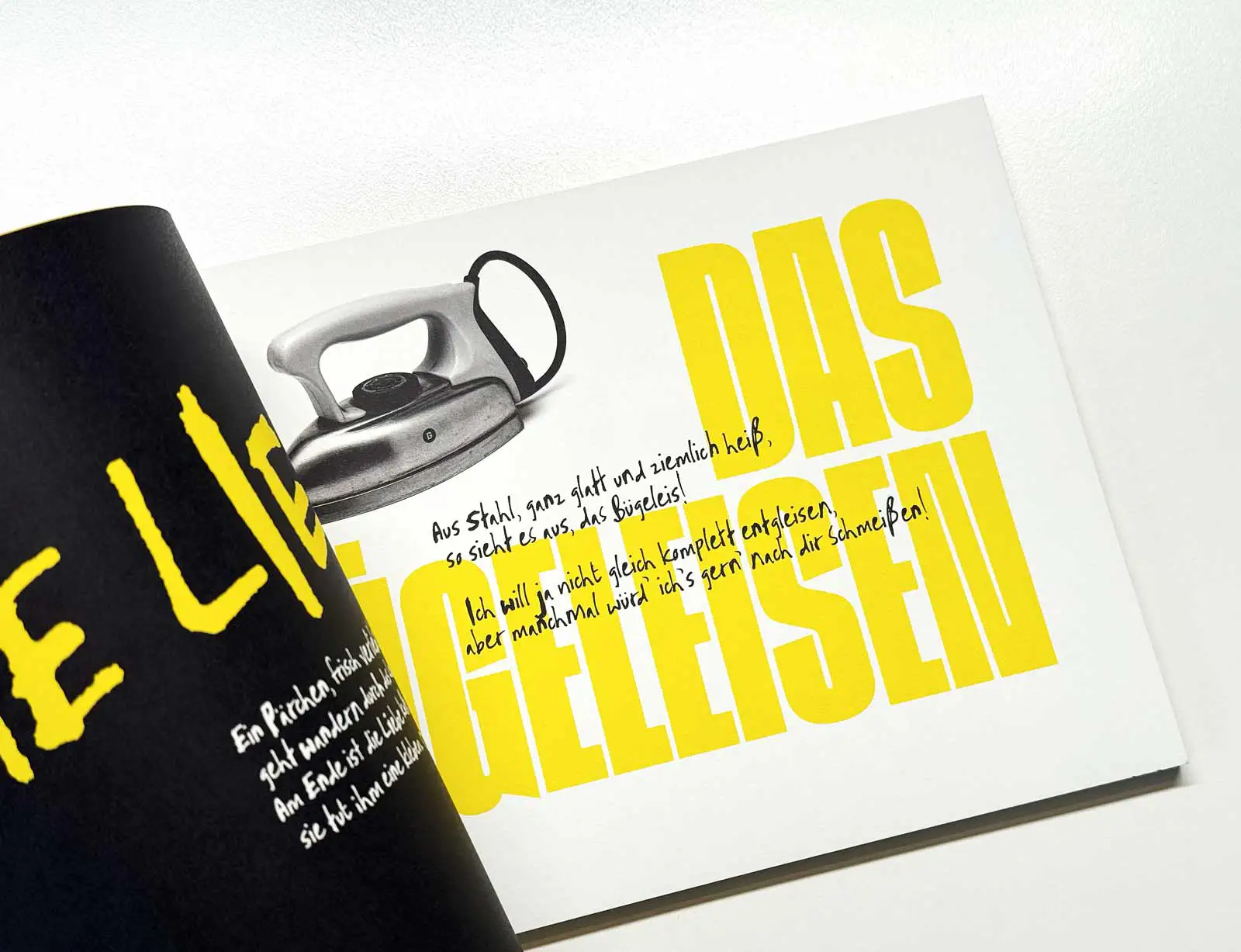 dg gedichtbuch nicht ganz gedicht II foto buegel