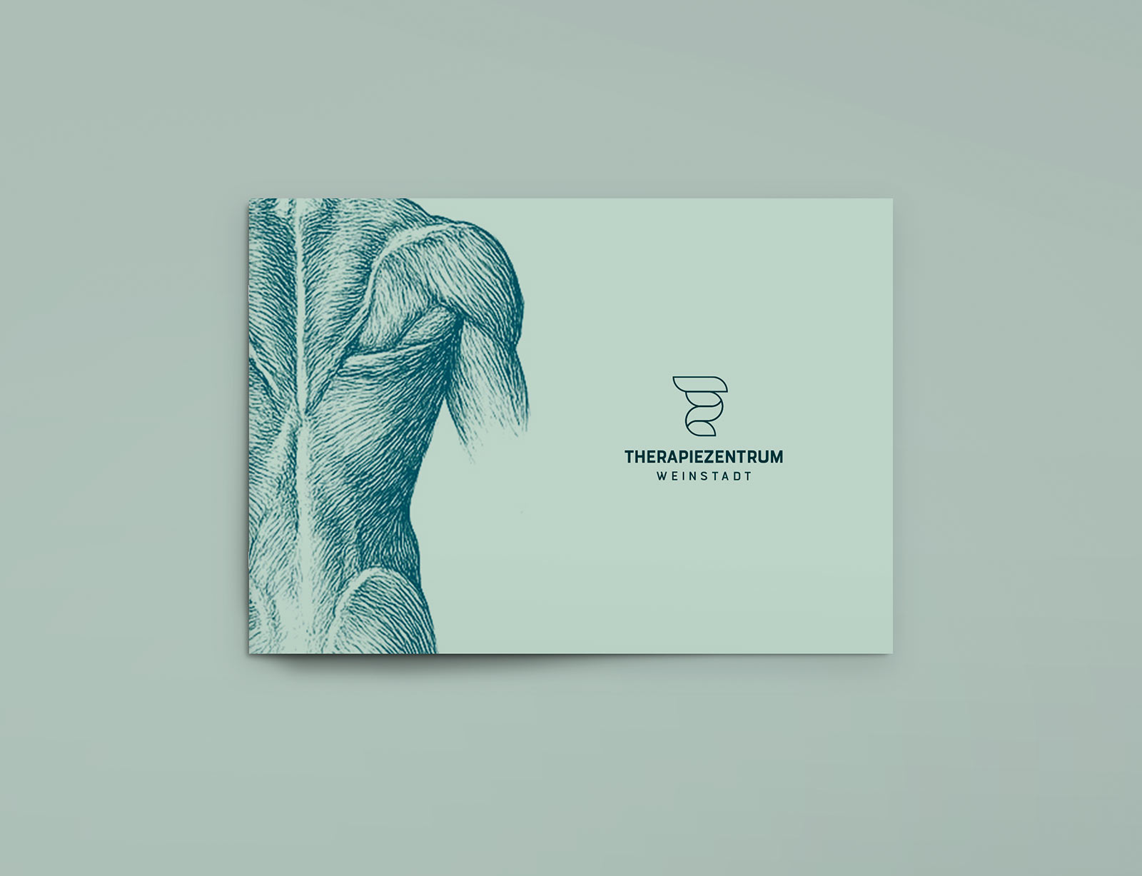 dg therapiezentrum wein branding brosch cover