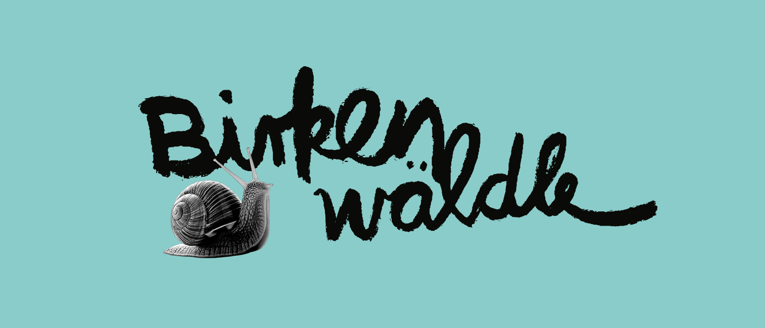 dg slider 20 birkenwaeldle logo schnecke