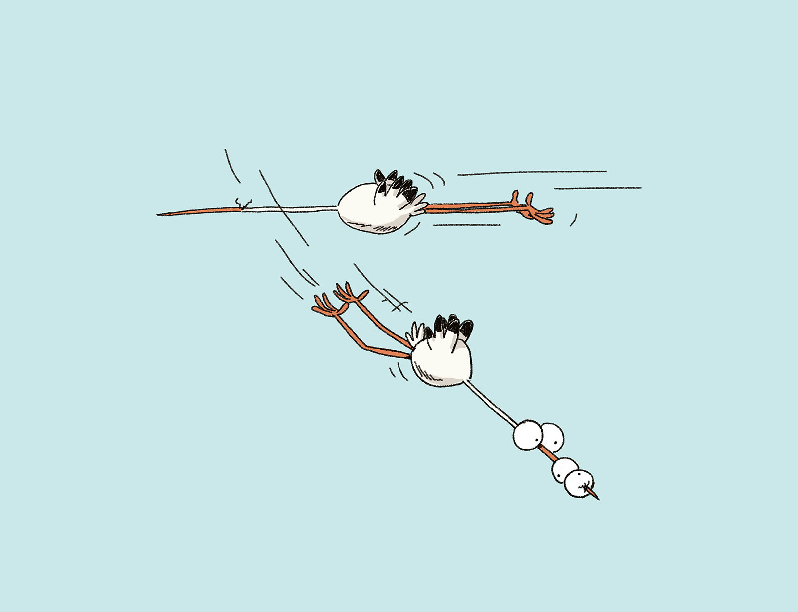 dg applebooks storch cartoon a