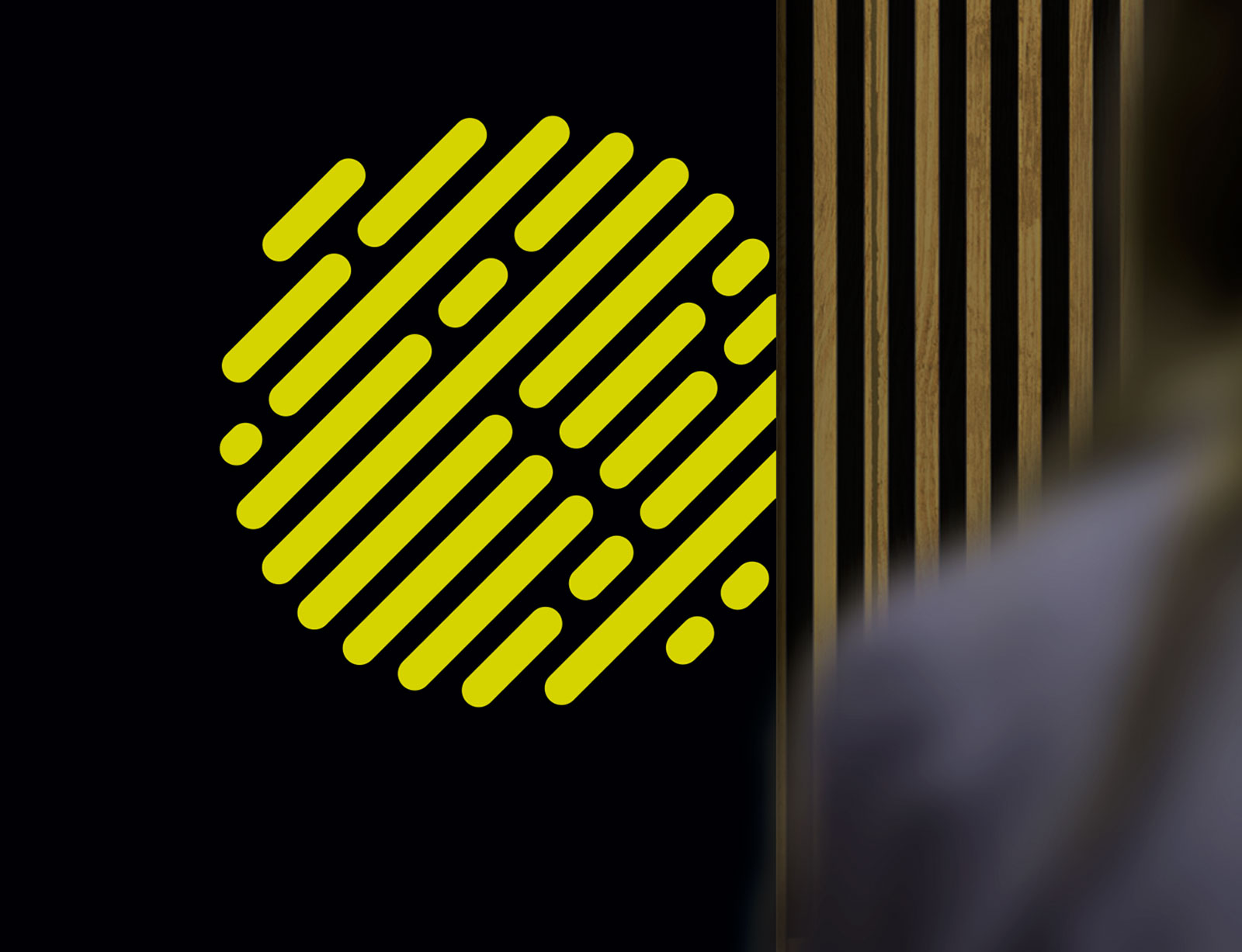 dg leistungen slide leitmotiv kisalon