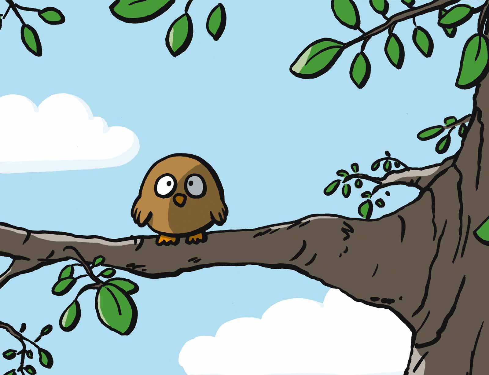 dg mimo vogel auf baum